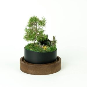 Abandoned tiny house