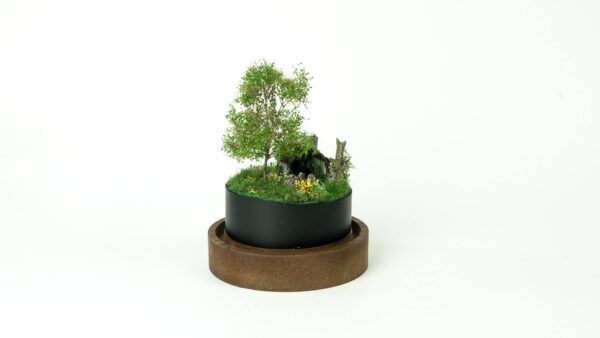 Abandoned tiny house