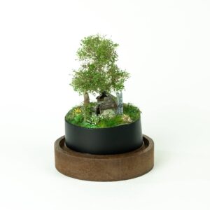 Abandoned tiny house