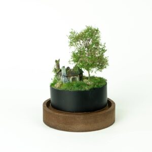 Abandoned tiny house