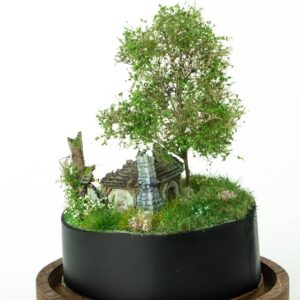 Abandoned tiny house