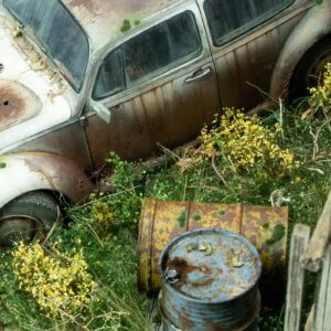 Abandoned VW Beetle