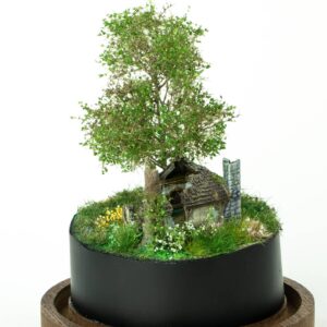 Abandoned tiny house