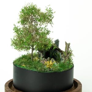 Abandoned tiny house