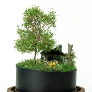 Abandoned tiny house