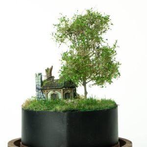 Abandoned tiny house