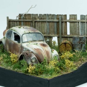 Abandoned VW Beetle