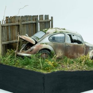 Abandoned VW Beetle