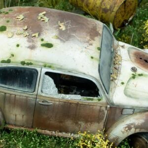 Abandoned VW Beetle